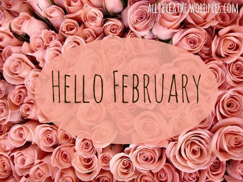 Peach Roses - Hello February Pictures, Photos, and Images for Facebook ...