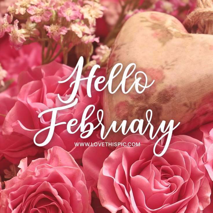 Heart Rose Hello February Message Pictures, Photos, and Images for ...