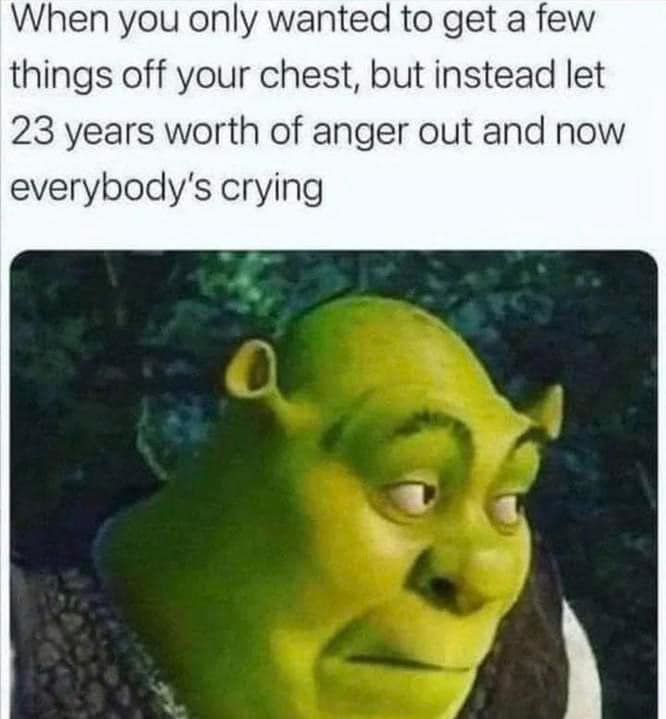 When You Only Wanted To Get A Few Things Off Your Chest, But Instead