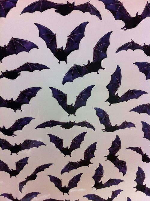 Bats
