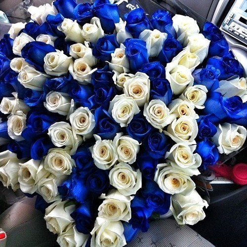 Blue and white roses