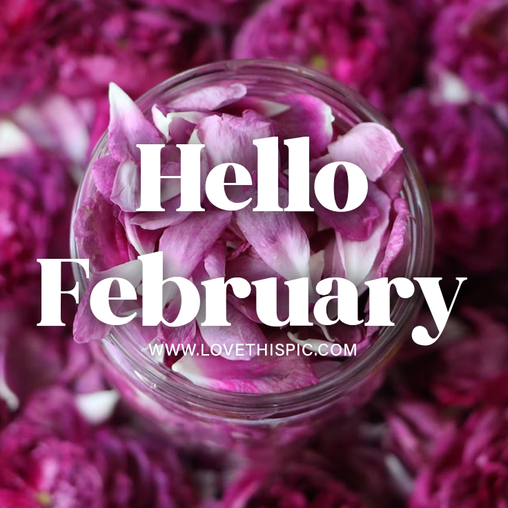 Violet Flowers - Hello February Pictures, Photos, and Images for ...