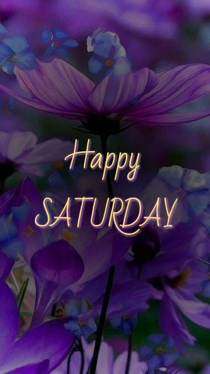 Purple Flower - Happy Saturday Pictures, Photos, and Images for Facebook,  Tumblr, Pinterest, and Twitter