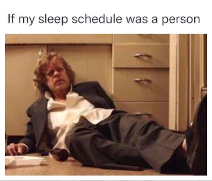 if-my-sleep-schedule-was-a-person-pictures-photos-and-images-for