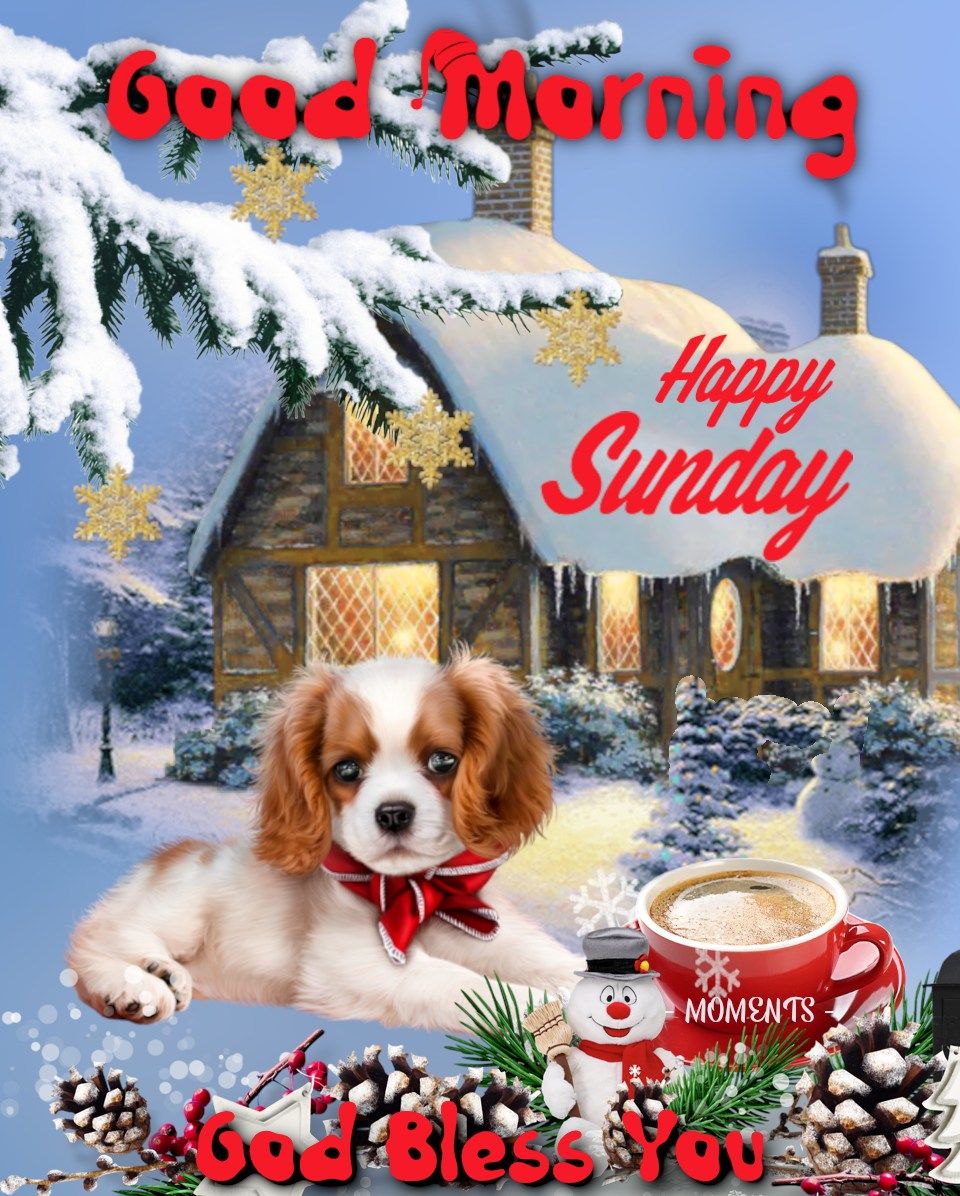 Cute Puppy Good Morning Happy Sunday Pictures, Photos, and Images for