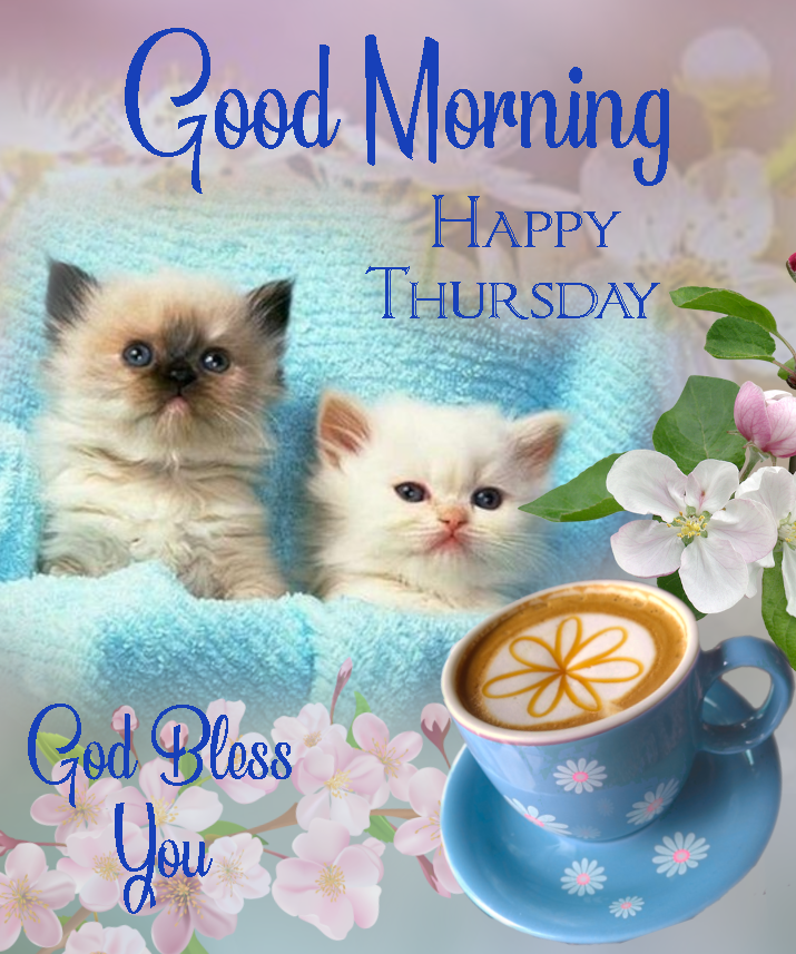 Resting Kittens Good Morning. Happy Thursday Pictures, Photos, and