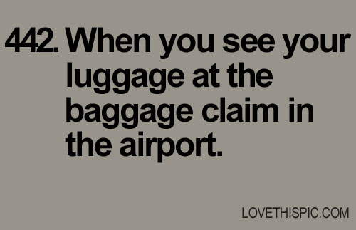 442-luggage 442-luggage