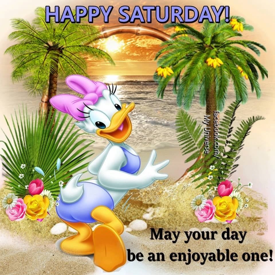 Happy Saturday Featuring Daisy Duck Pictures, Photos, and Images for ...