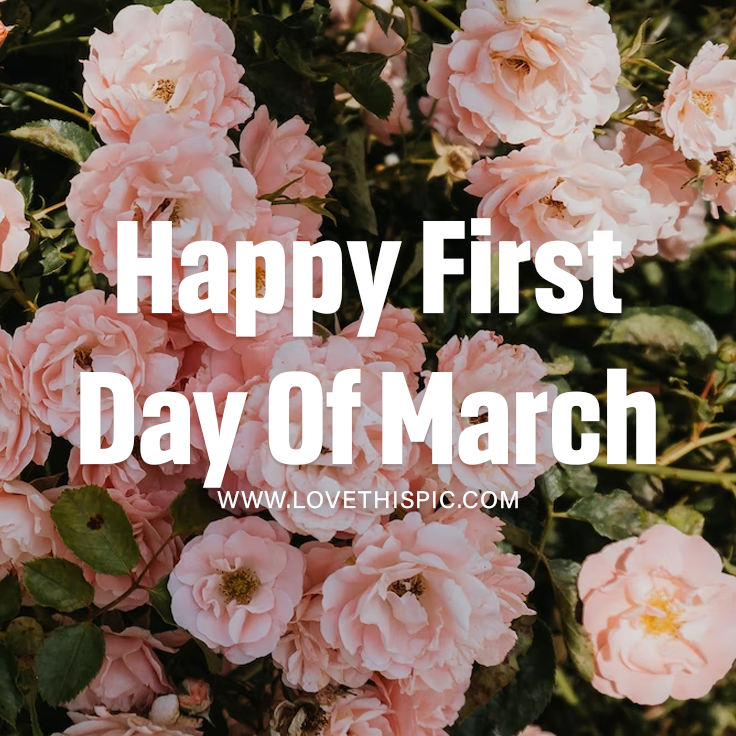 Happy First Day Of March Pictures, Photos, and Images for Facebook, Tumblr, Pinterest, and Twitter