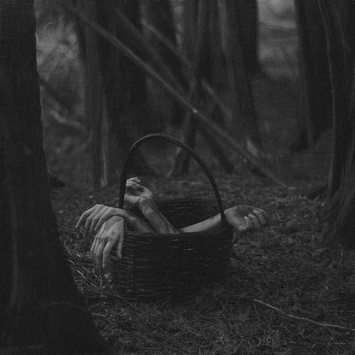 Basket full of chopped off arms