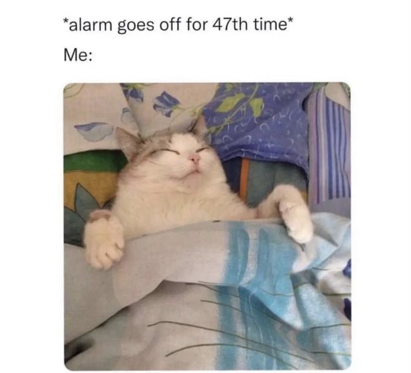 Alarm Goes Off The The 47th Time Pictures, Photos, and Images for