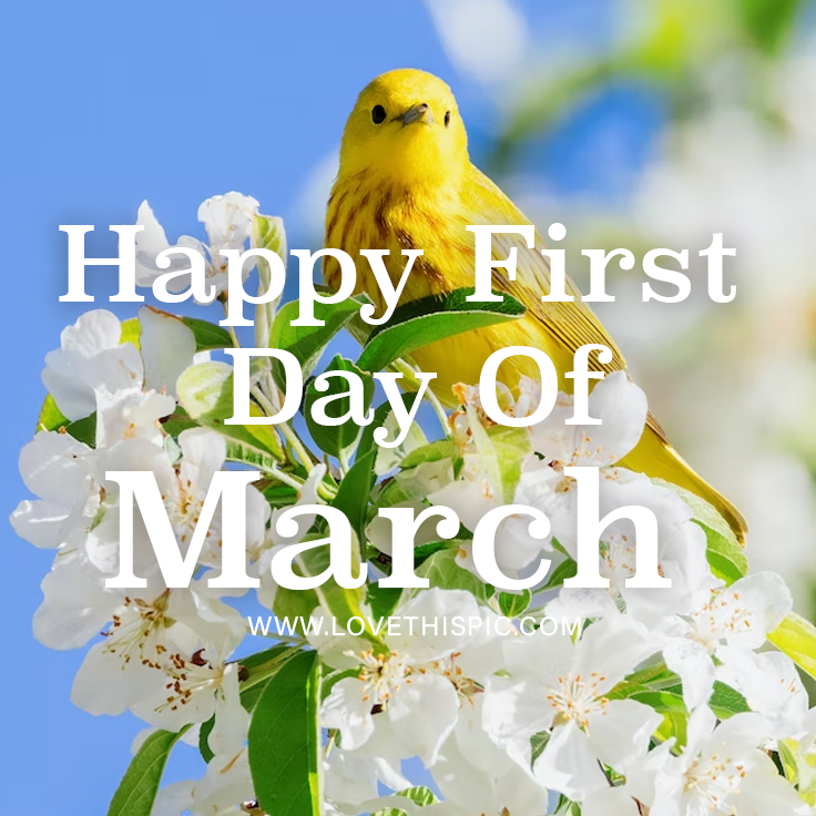 Yellow Perched Bird Happy First Day Of March Pictures, Photos, and Images for Facebook, Tumblr