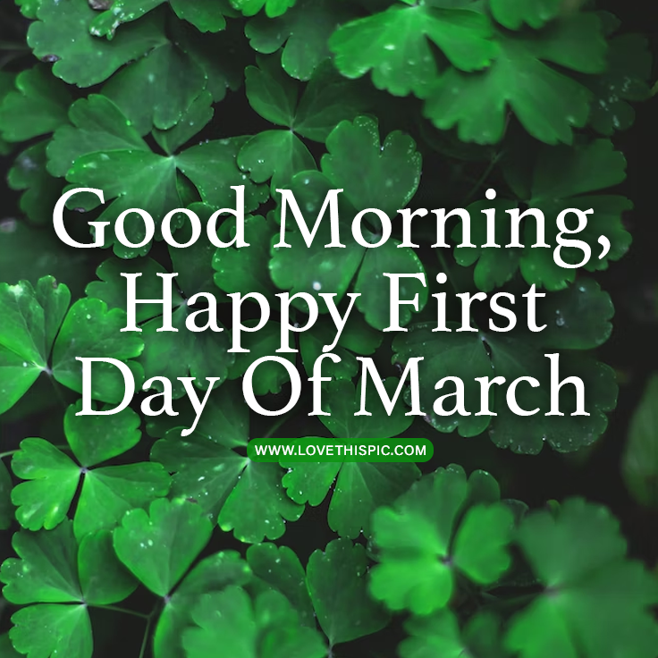 Green Leaves Good Morning, Happy First Day Of March Pictures, Photos