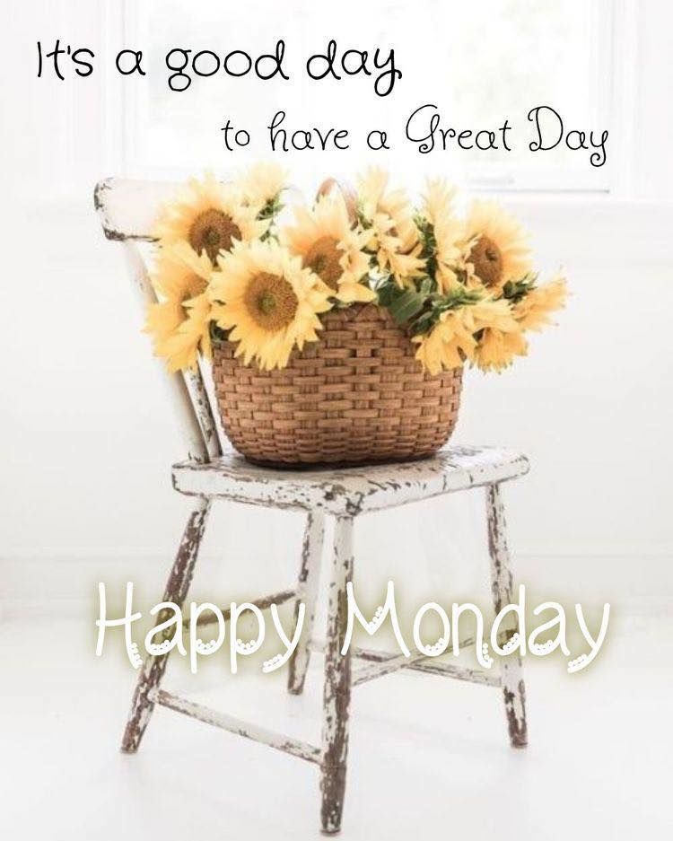 It's A Good Day To Have A Great Day Pictures, Photos, and Images for