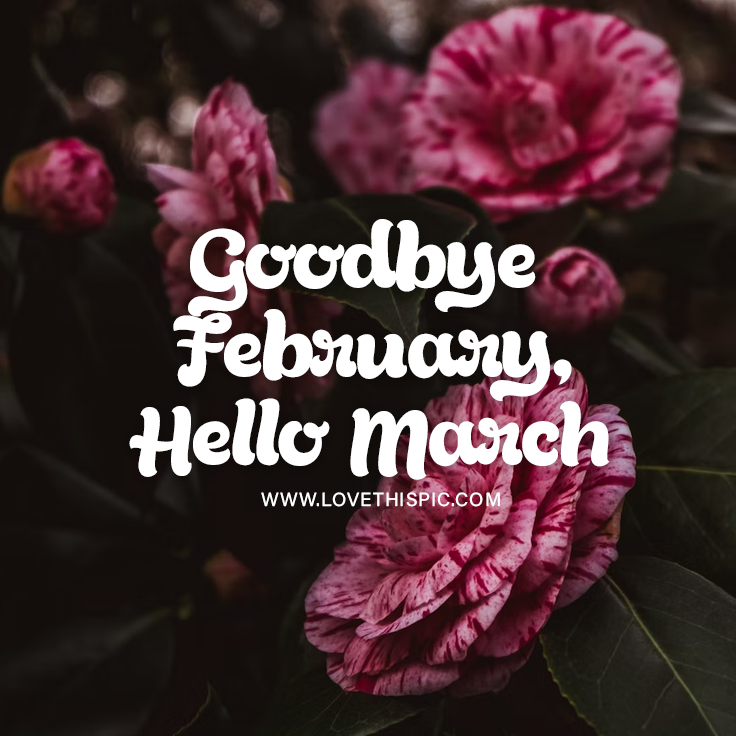 Goodbye February, Hello March Pictures, Photos, and Images for Facebook
