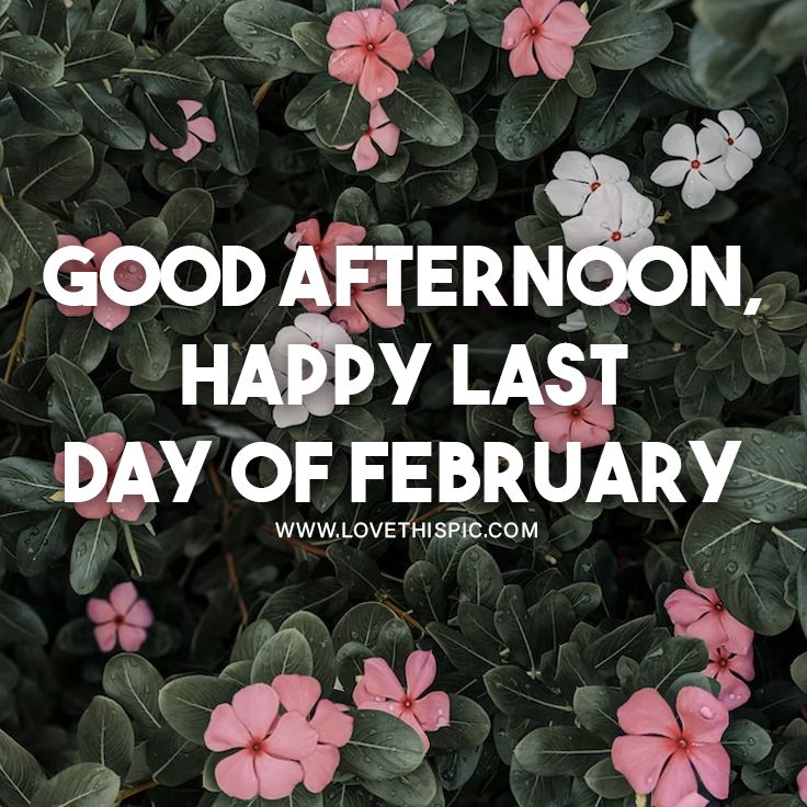 Last Day Of February, Good Afternoon Pictures, Photos, and Images for