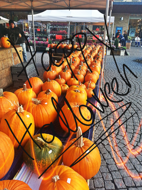 Happy Halloween Pumpkins
