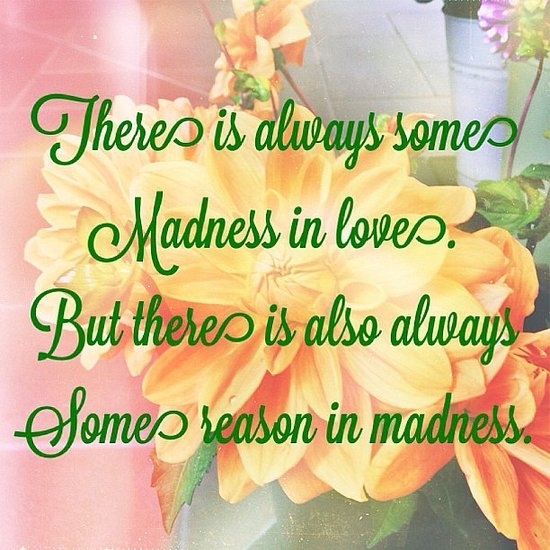 love and madness love and madness