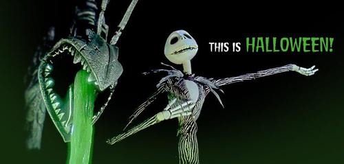 This is halloween