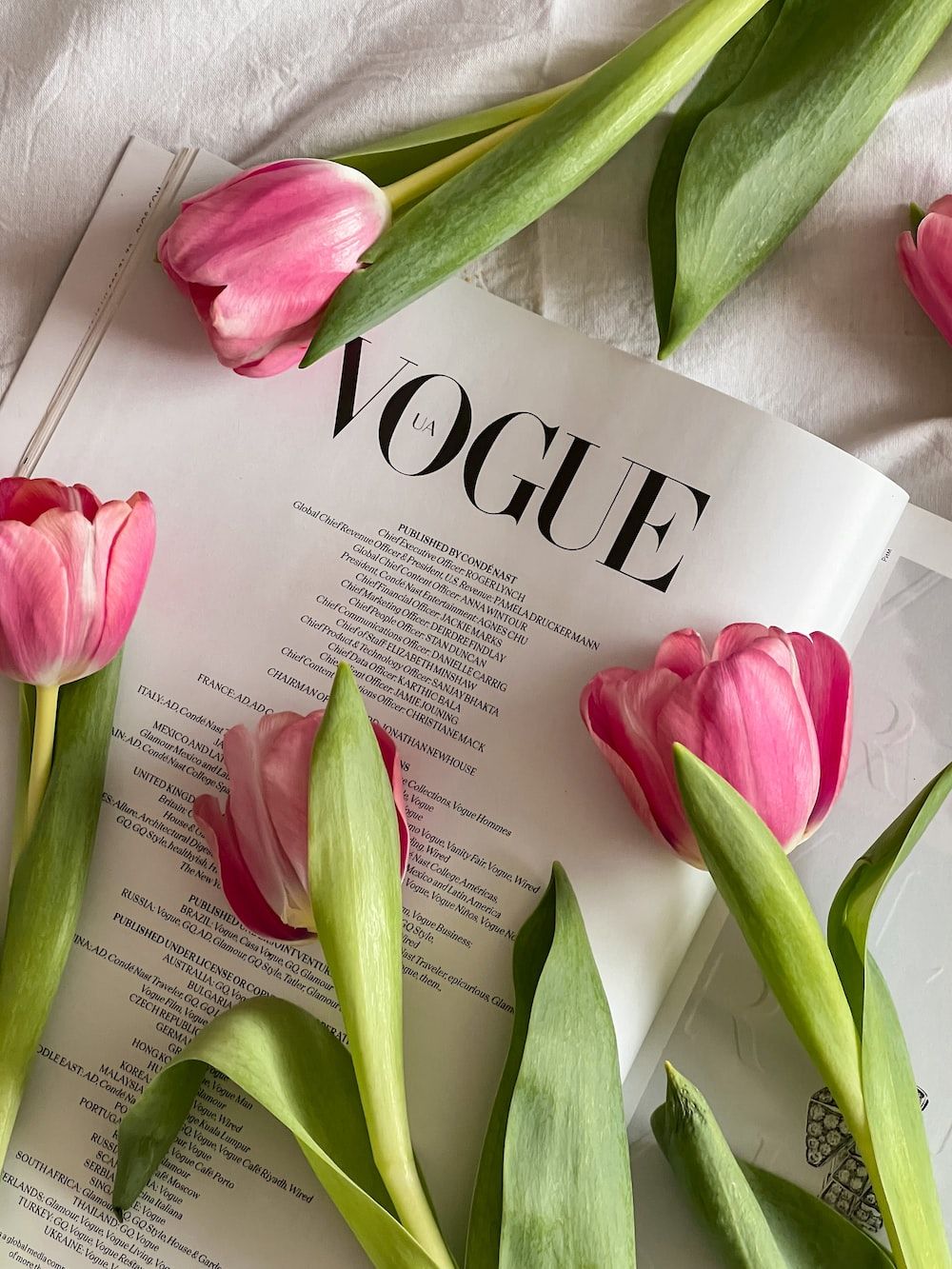 Pink Tulip On Vogue Magazine Pictures, Photos, and Images for Facebook
