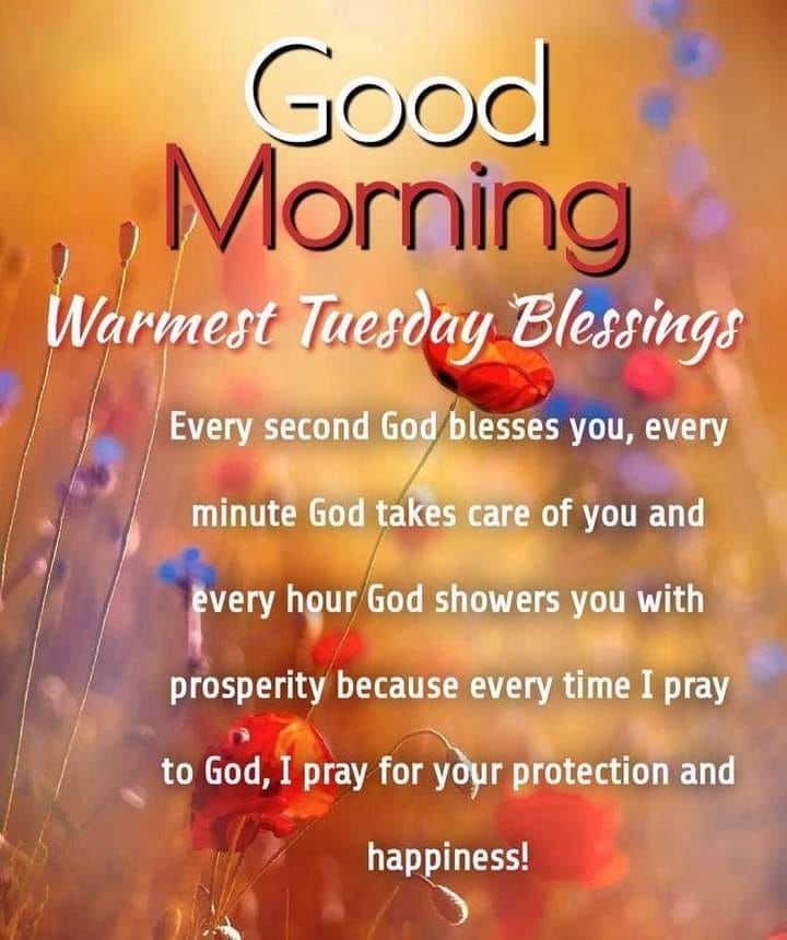 Good Morning. Warmest Tuesday Blessings Pictures, Photos, and Images