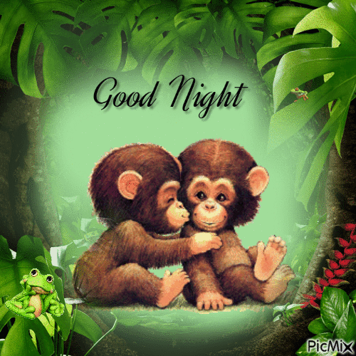 Good Night Adorable Monkey Gif Pictures, Photos, and Images for Facebook, Tumblr, Pinterest, and