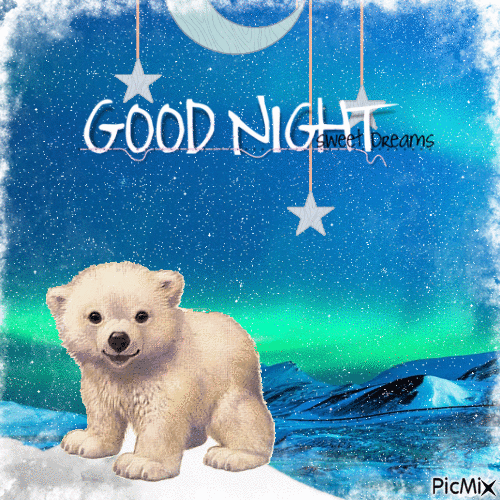 Good Night Polar Bear Gif Pictures, Photos, and Images for Facebook