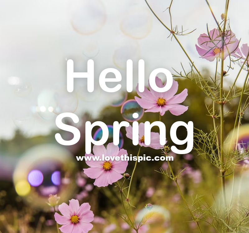 Bubbles & Flowers - Hello Spring Pictures, Photos, and Images for ...