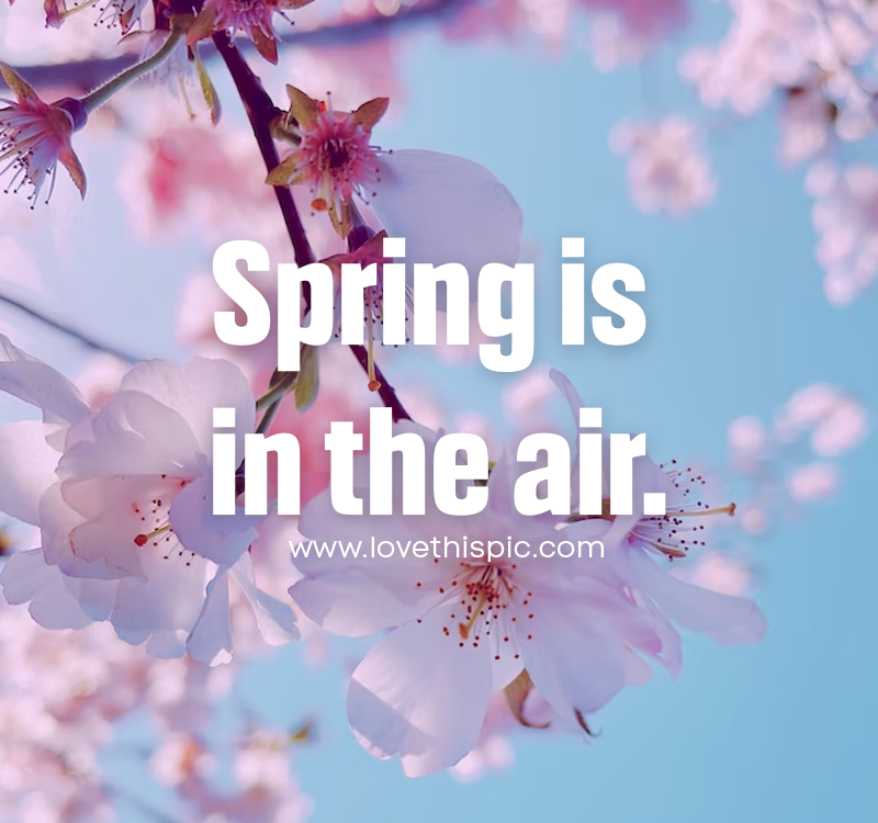 Spring Is In The Air Pictures, Photos, and Images for Facebook, Tumblr