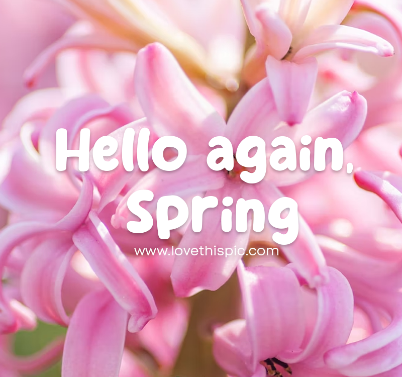 Hello Again, Spring Pictures, Photos, and Images for Facebook, Tumblr ...