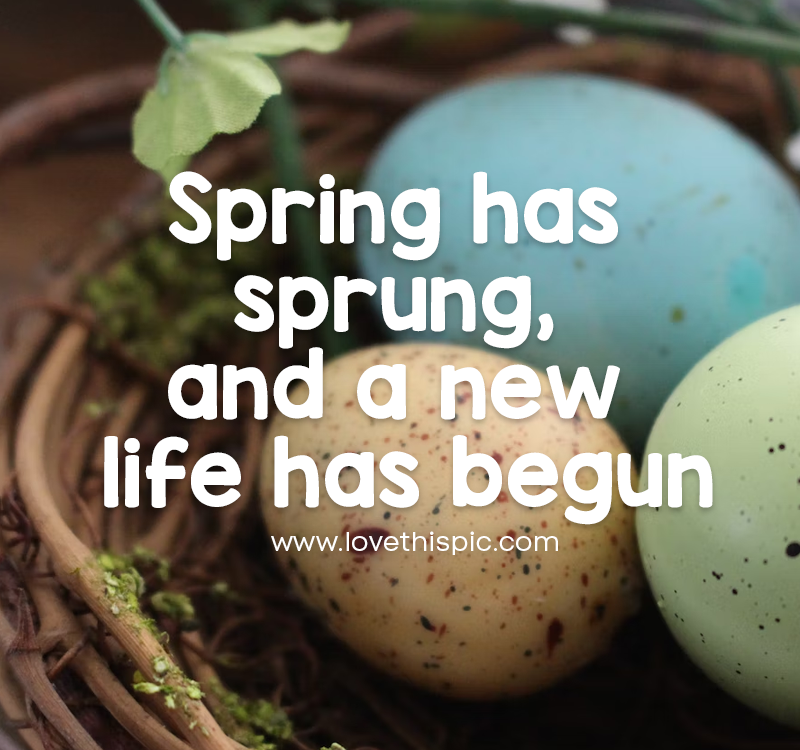 Spring Has Sprung, And A New Life Has Begun Pictures, Photos, and ...