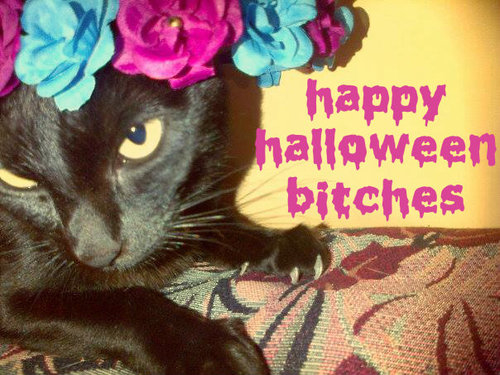 Happy Halloween Bitches Happy Halloween Bitches