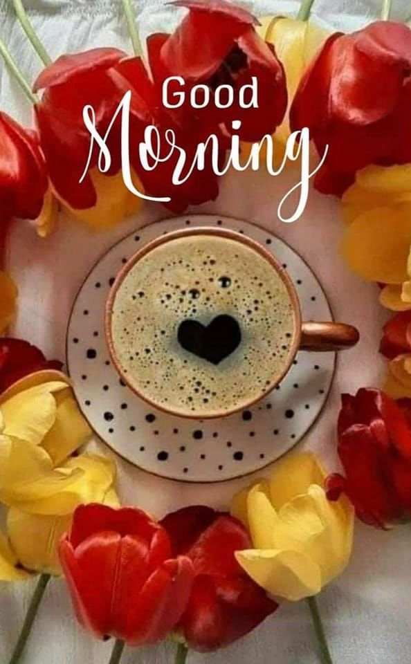 Good Morning Greeting With Coffee And Tulips Pictures, Photos, and