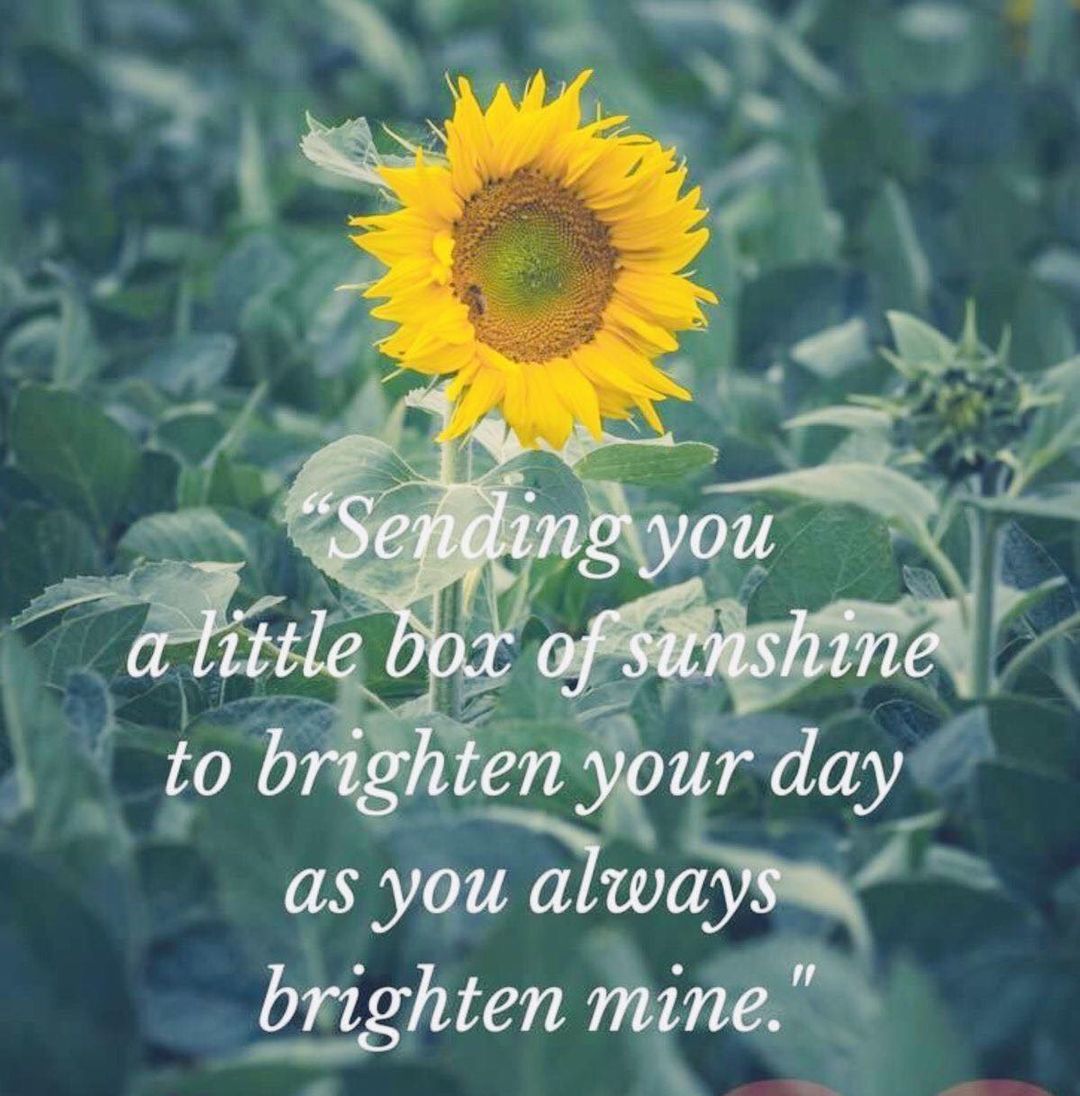 Sending You A Little Box Of Sunshine To Brighten Your Day As You Always