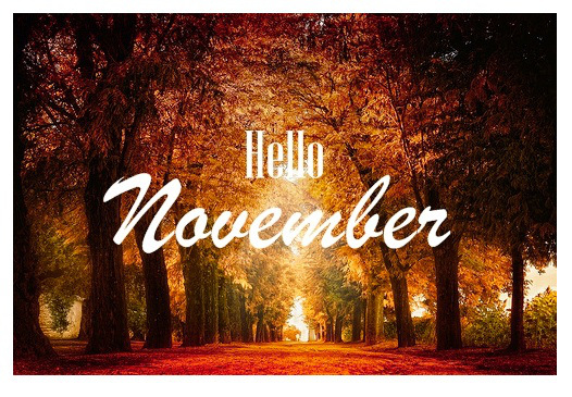 Hello November Hello November