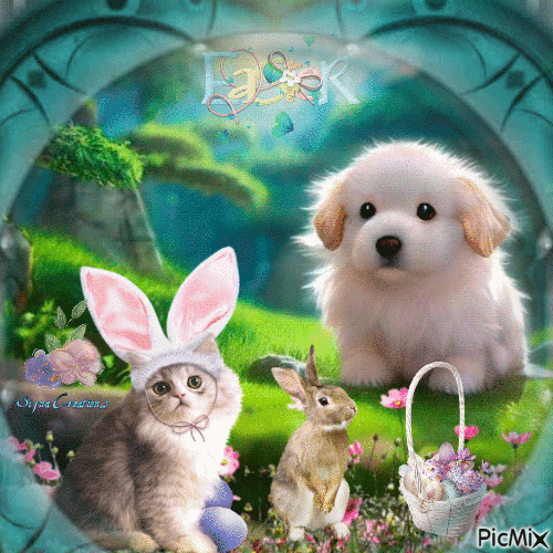 Easter Gif With Dog, Cat And Bunny Pictures, Photos, and Images for