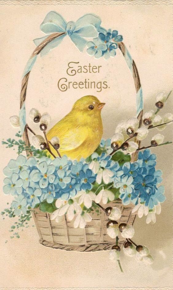 Easter Greeting Quote With Chick In Basket Pictures, Photos, and Images