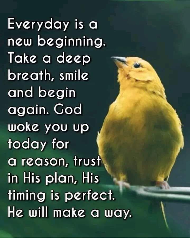 Everyday Is A New Beginning Pictures, Photos, and Images for Facebook