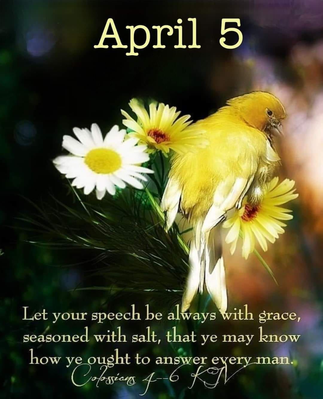 Yellow Bird April 5 Quote Pictures, Photos, and Images for Facebook