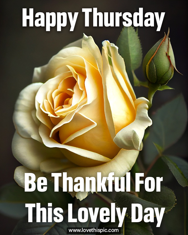 Happy Thursday Thankful Message Pictures, Photos, and Images for