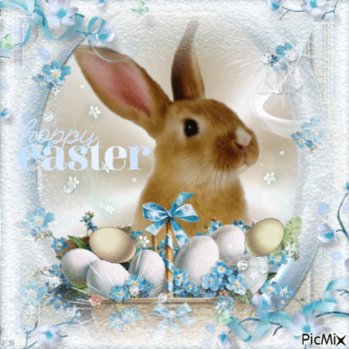 Sniffing Brown Bunny Happy Easter Gif Pictures, Photos, and Images