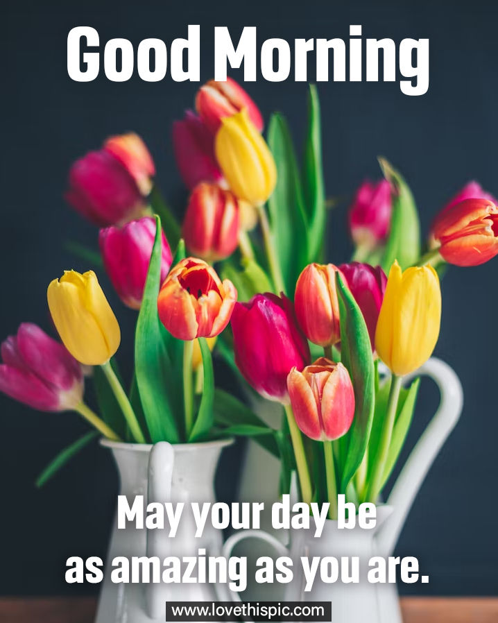 Good Morning! May Your Day Be As Amazing As You Are. Pictures, Photos