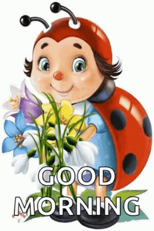 Ladybug With Flowers Good Morning Gif Pictures, Photos, and Images