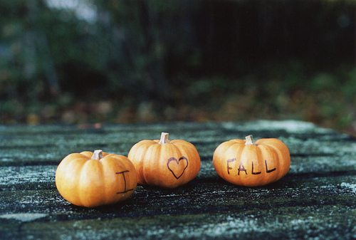 Fall pumpkins Fall pumpkins