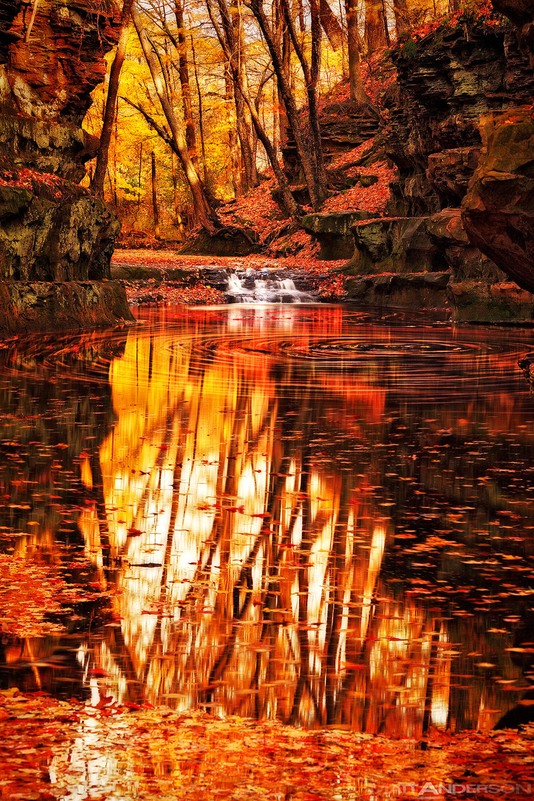 Amazing wooded lake Amazing wooded lake