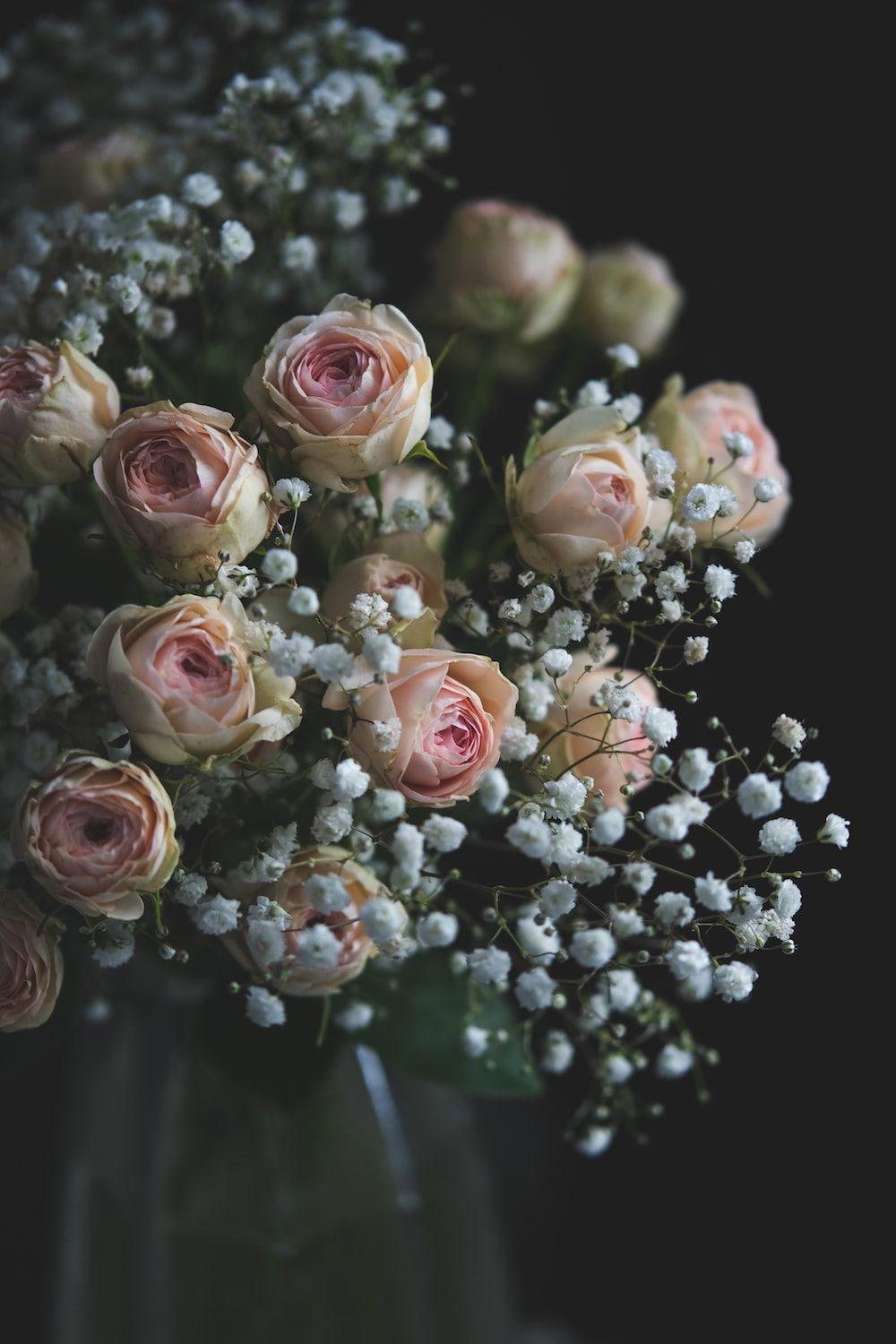 Soft Pink Rose Photography Pictures, Photos, and Images for Facebook