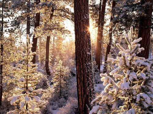 Sun and snow Sun and snow