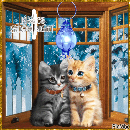 Good Night Gif With Kittens Pictures, Photos, and Images for Facebook