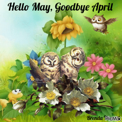 Hello May & Goodbye April With Owls Pictures, Photos, and Images for
