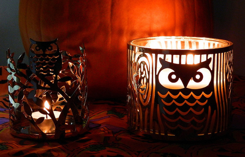 Owl candle holder